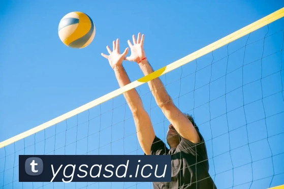 九游j9官网活动入口品牌故事